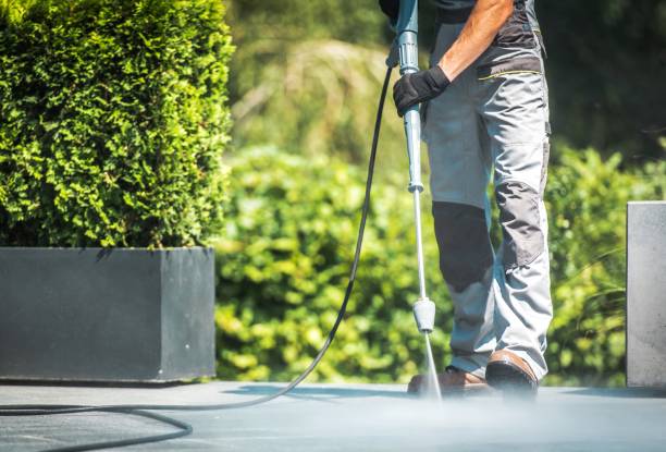 Best Driveway Pressure Washing  in Lenexa, KS