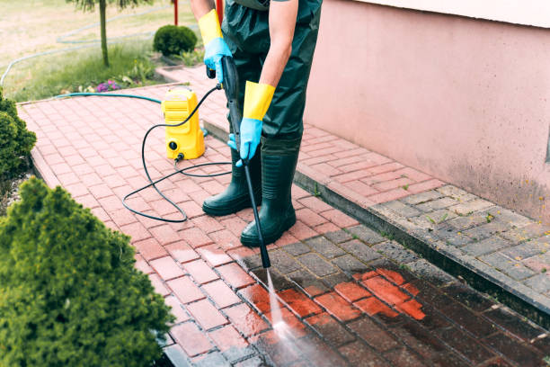 Animal Enclosure Cleaning in Lenexa, KS